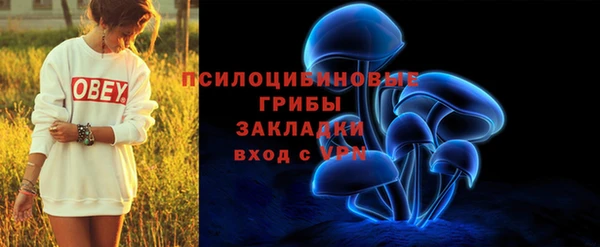 гашик Михайловка