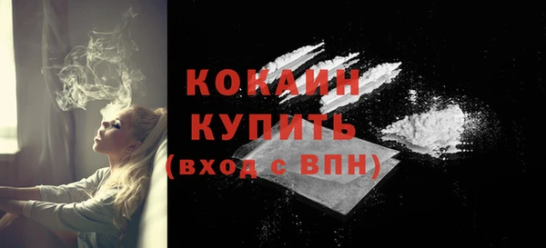 гашик Михайловка