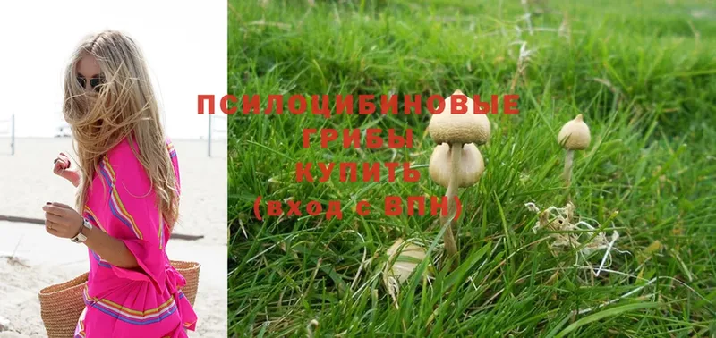 Псилоцибиновые грибы Magic Shrooms  Мамадыш 