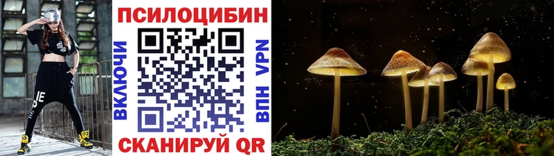 Галлюциногенные грибы GOLDEN TEACHER Мамадыш